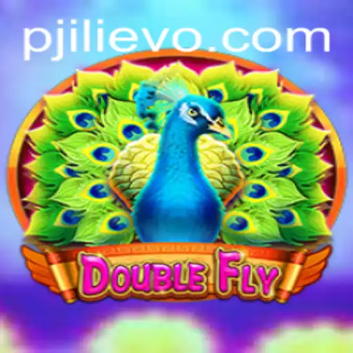 DoubleFly: An Exciting New Game Experience
